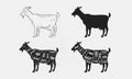 Goat set. Goat silhouette. Goat - butcher diagram template. Royalty Free Stock Photo