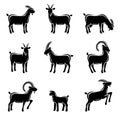 Goat set. Vector Royalty Free Stock Photo