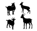 Goat silhouette design Royalty Free Stock Photo