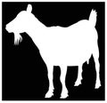 Goat silhouette - farm animal Royalty Free Stock Photo