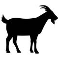 Goat Silhouette Royalty Free Stock Photo