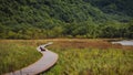 A goat sits alone on the forest path