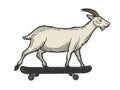 Goat on skateboard sketch engraving vector