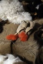 Goat skins fur Royalty Free Stock Photo