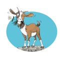 goat with small flower in mouth on rock humorist illustration for kids