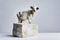 Goat standing on block of cheese on table. Generative AI