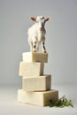 Goat standing on top of pile of cheese blocks. Generative AI