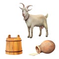 Goat standing up isolated on a white, pitcher with