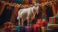 Adorable White Goat Standing on Christmas Presents Royalty Free Stock Photo