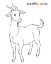 Goat to be colored, the coloring book for kids. Royalty Free Stock Photo