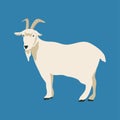 Goat vector hand drawn illustration Royalty Free Stock Photo