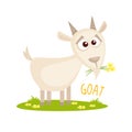 Goat Vector illustration isolated
