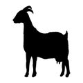Goat vector illustration silhouette.Wild goat