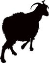 A goat walking, black color painted silhouette vector