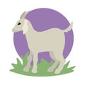 Goat walks through the grass. Farm animal, horned fast.Animal print. Vector illustration. Royalty Free Stock Photo
