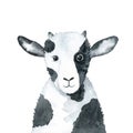 Goat - watercolor illustration isolated on white background