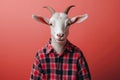 A goat wearing a red and black plaid shirt Royalty Free Stock Photo