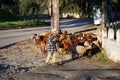 Goatherd and shepherd, Alozaina, Spain. Royalty Free Stock Photo