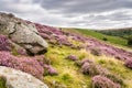 Goathland Moor Heather and Crags Royalty Free Stock Photo