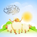 Goats with Arabic Calligraphy for Eid-Al-Adha.