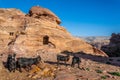 goats and a bedouin shed at Petra, jordan