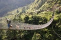 Goats on bridge