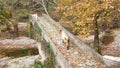 Goats on the bridge in Vrosina village in Ioannina Greece