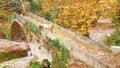 Goats on the bridge in Vrosina village in Ioannina Greece