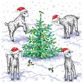 Goats and Christmas tree