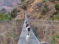 Goats crossing suspension bridge