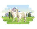 Goats farm animal Royalty Free Stock Photo