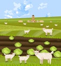 Goats at the farm Vector. green summer backgrounds Royalty Free Stock Photo