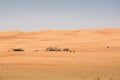 Goats fence under desert dunes wahiba sands at sunset