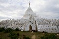 Goats in front of White pagoda in mingun, myanmar Royalty Free Stock Photo