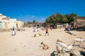 Goats Men Seller in Traditional White Dress on the Local Animal Market