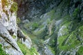 Goats in mountain landscape. Cares Trekking Route, Asturias