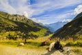 Goats in the mountains Royalty Free Stock Photo