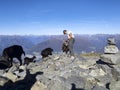 Goats pasture on the top of Mount Gradiccioli