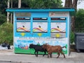 Goats and a Refuse Collection Point in New Territories Hong Kong on Dec 13 2022