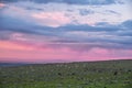 Goats and sheeps graze on mountain steppe pasture in natural mountain boundary Tsagduult in Mongolia at sunset