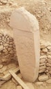 Gobekli Tepe is the oldest Neolithic temple ever found