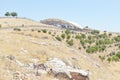 Gobekli Tepe is the oldest Neolithic temple ever found