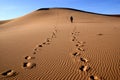 Gobi desert