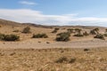 Gobi desert, Mongolia Royalty Free Stock Photo