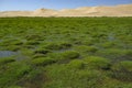 Gobi Desert in Mongolia Royalty Free Stock Photo