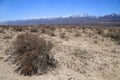 Gobi desert with snow moutains