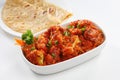 Gobi Manchurian Royalty Free Stock Photo