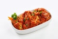 GOBI MANCHURIAN Royalty Free Stock Photo