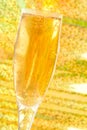 Goblet glass with champaign Royalty Free Stock Photo
