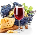 Goblet red wine with blue grapes in Royalty Free Stock Photo